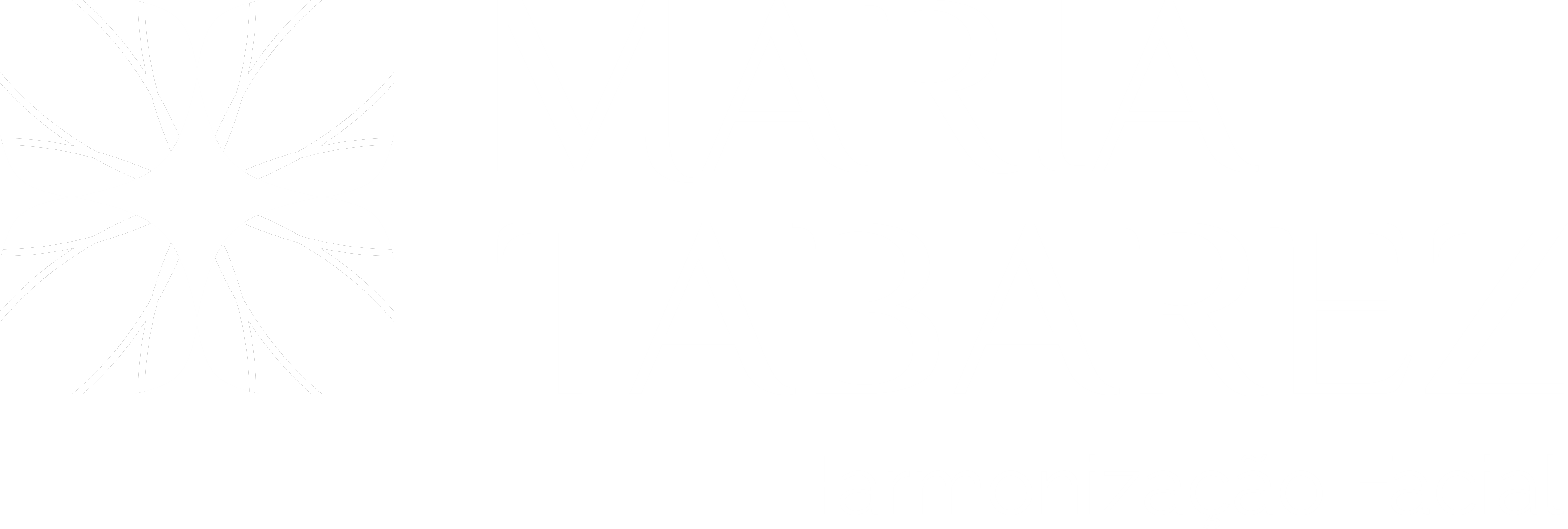 Maria Tabarez, Harmonização Facial